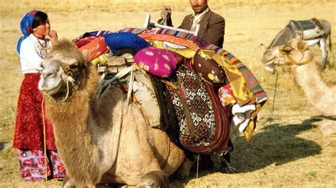  X: A Nomadic Odyssey Through Turkish Social Fabric