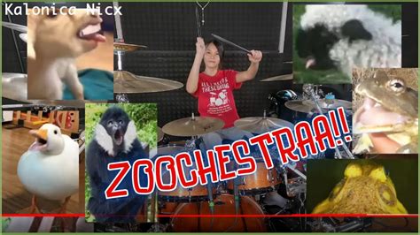  Zoo Musicology: The Sounds of Our Animal Neighbors – A Symphony of Fur, Feathers, and Fin-tastic Melodies